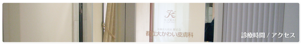 診療時間/アクセス